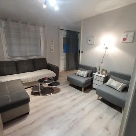 Apartment Cosy A 10 Minutes Du Centre-ville. Saint-Etienne (Loire)